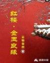 红楼梦之金玉良缘演员表