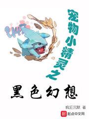 宠物小精灵黑色的叫什么