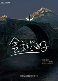 金主你好txt宝书