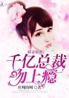 一胎二宝亿万总裁的千亿娇妻