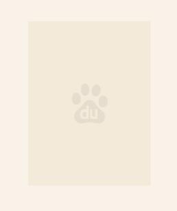 绝世炼丹师废柴七小姐最新章节