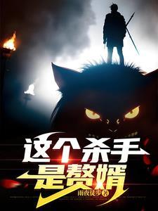 这个杀手是赘婿免费观看