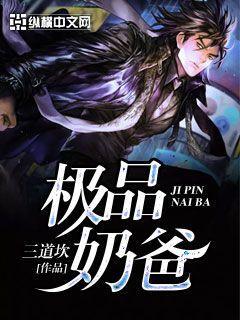 极品奶爸高雷华