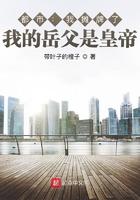 我摊牌了我是你老丈人